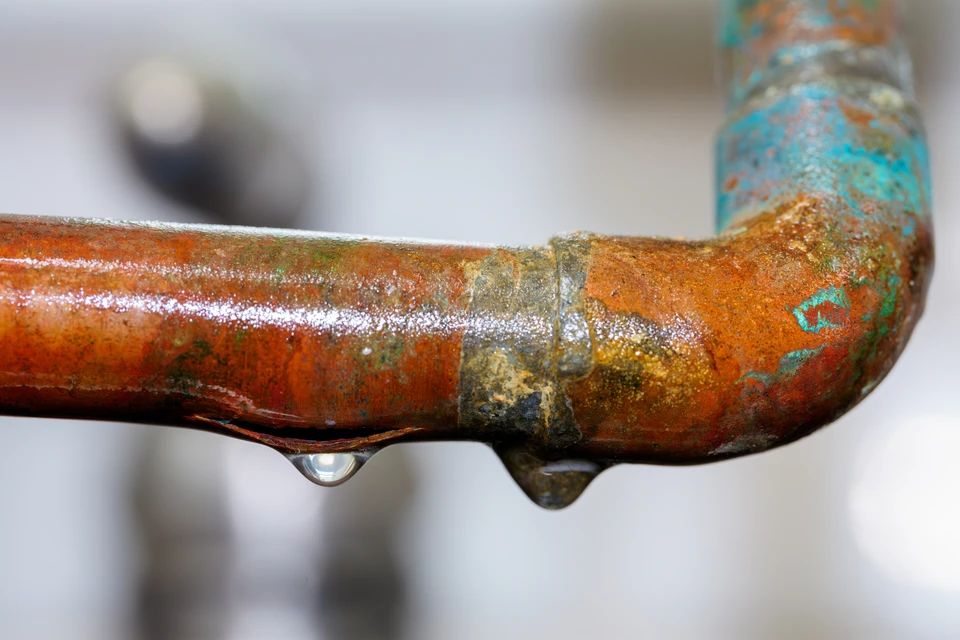Femme remplissant du verre avec de l'eau du robinet dans la cuisine, en gros plan
